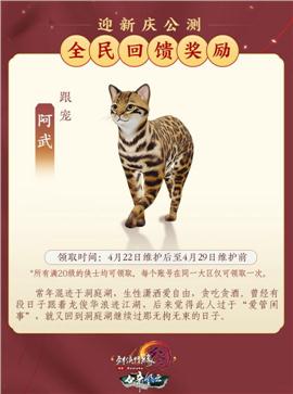 查看天龙八部私服ip